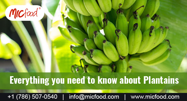 https://www.micfood.com/products/ripe-plantains/